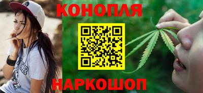 МДПВ Бийск