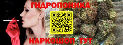 МДПВ Бийск