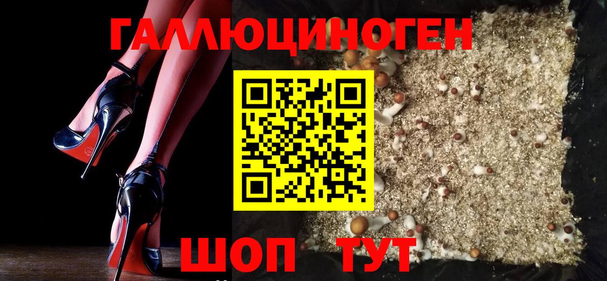 Псилоцибиновые грибы Psilocybine cubensis Изобильный