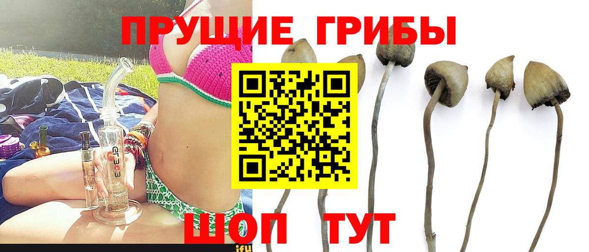 как найти   Вход с VPN  Галлюциногенные грибы ЛСД  Изобильный  Псилоцибиновые грибы Cubensis 